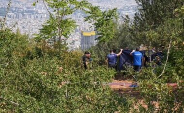 Tragjike në Turqi, babai vret tre fëmijët e tij dhe tenton vetëvrasje