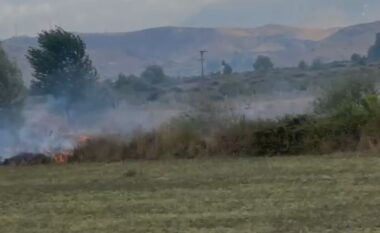 Zjarr i madh në disa toka bujqësore në Lazarat, dyshohet se është i qëllimshëm