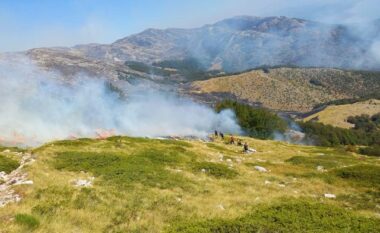 Zjarri në Parkun Kombëtar të Prespës del jashtë kontrollit, kërkohet ndërhyrje e menjëhershme