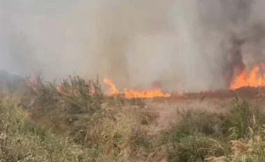 Zjarr në Vreshtas të Maliqit, zjarrfikësja drejt vendit të ngjarjes