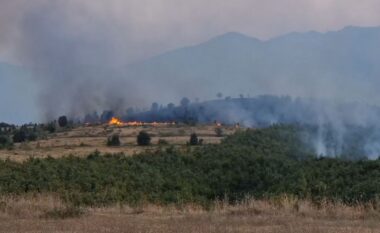 Zjarr masiv në afërsi të Burrelit, nis ndërhyrja për vënien nën kontroll të flakëve