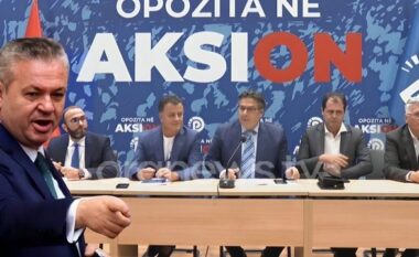 S’KA PAQE NË PD/ Murrizi ia numëron në sy Nokës: Bardhi dhe Gjekmarkaj erdhën si të bashkuar në diversitet e na u bënë diversantë. Kush i votoi këta? Berisha tha “sulm”, por…