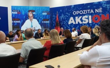 Berisha: PD ‘pro’ votës së 1.5 mln shqiptarëve të diasporës! Zgjedhja e deputetëve sipas primareve