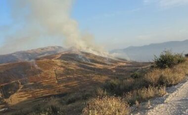 Zjarr i madh në malin e Shashicës, përfshihet nga flakët hapësira pyjore, rrezikohen bagëtitë