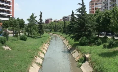 E pazakontë në Tiranë, drejtuesi i mjetit përfundon në Lanë teksa largohej nga policia