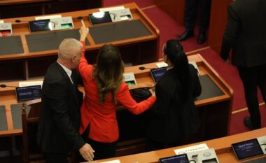 DOKUMENTI/ PS kërkesë për masë ndëshkimore për demokratët: Elda Hota dhe Petrit Doda