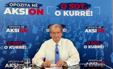 Edhe Enveri të ngrihet nga varri nuk trembemi/ Berisha thirrje këshillave bashkiakë dhe drejtuesve vendorë: Mosbindje civile