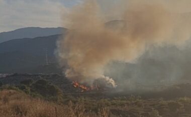 Aktive prej më shumë se gjashtë orësh, çfarë e shkaktoi vatrën e zjarrit në vendgrumbullimin e mbetjeve të inceneratorit të Elbasanit