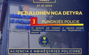 AMP pezullon nga detyra tre punonjës të Policisë Kufitare në Pogradec, zbardhen akuzat