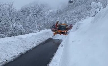 Veriu i Shqipërisë mbulohet nga dëbora, ndërprerje e energjisë elektrike në disa zona (FOTOT)