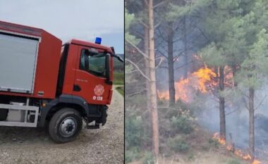 Zjarr masiv në Gjorgoz të Fierit, problem terreni i vështirë (VIDEO)