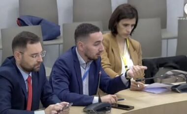 Votat nga Greqia/ Logu: Patronazhistët dorëzuan masivisht zarfe, po tjetërsohet vullneti i qytetarëve
