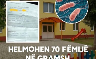 Helmohen 70 fëmijë në kopshtin shtetëror të Gramshit, dyshohet se konsumuan ushqim me salmonelë!