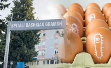 Infektimi me salmonelë i 17 fëmijëve në Gramsh, dalin përgjigjet e analizave: Vezët ishin të kontaminuara