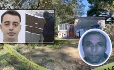 Ndihmoi autorin e vrasjes së 58-vjeçarit Renato Hoxhaj në Vlorë, zbardhet dëshmia e Eris Mehmetit
