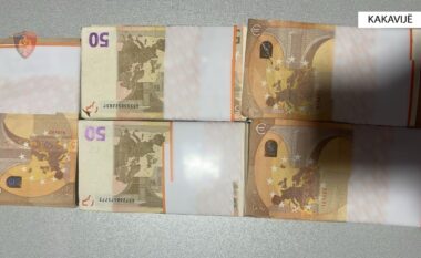 Kakavijë/ U kap me 25 mijë euro të padeklaruara në kufi, e pëson gruaja e moshuar