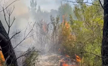 Vijon zjarri në Darëzezë, era e fortë përhap flakët, kërkohet ndërhyrje nga ajri