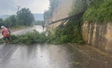 Gjysma e Shqipërisë “përvëlohet”, pjesa jugore përmbytet, era e fortë rrëzon pemët në rrugë
