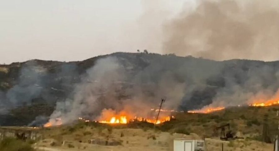 Zjarr në Gjirokastër  flakët shkrumbojnë 3 hektarë kullotë