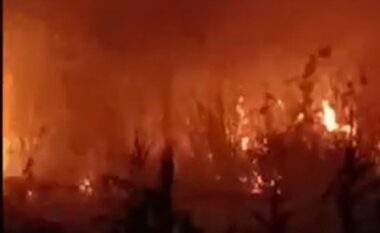 Kodrat e Cakranit në flakë, zjarri del jashtë kontrollit nga djegia e mbetjeve bujqësore, zjarrfikësit në aksion