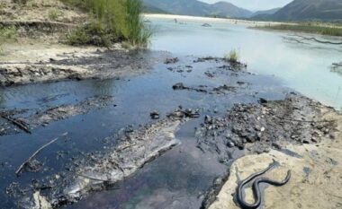 Ndotja mjedisore në Parkun Kombëtar të Vjosës, reagon Albpetrol: Në zonë nuk ka asnjë aktivitet të ri ndotës, kjo njollë aktivizohet në temperatura të larta