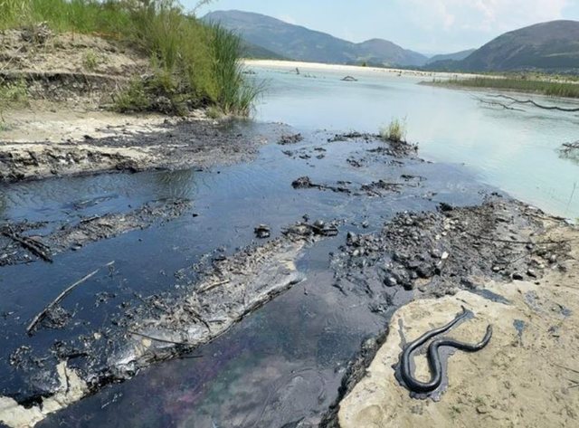 Ndotja mjedisore në Parkun Kombëtar të Vjosës, reagon Albpetrol: Në zonë nuk ka asnjë aktivitet të ri ndotës, kjo njollë aktivizohet në temperatura të larta