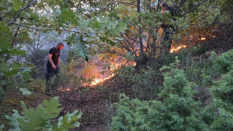 Vendi sot ishte nën “pushtetin” e 47 vatrash zjarri, aktive mbeten vetëm dy