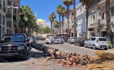 Palma bie në mes të rrugës në bulevardin “Epidamn” në Durrës, rrezik për kalimtarët