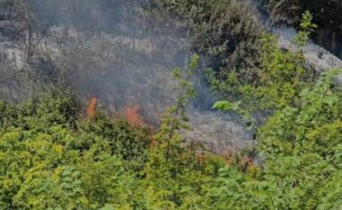 Përfshihet nga flakët kodra me ullishte në Fier