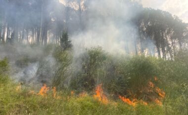 Zjarri në Kodër Krastë të Elbasanit, ndërhyrje intensive për të mbrojtur parkun e gjelbër të qytetit