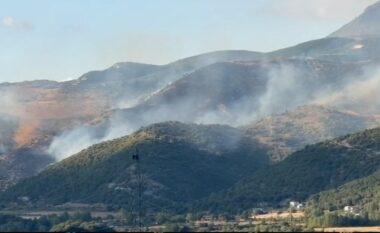 Zjarr në fshatin Brataj të Selenicës, era e fortë përhap flakët