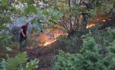 Zjarret në vend/ Emergjencat Civile: Janë raportuar 14 vatra, 10 janë shuar, 4 aktive