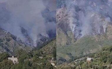 Vijon zjarri në malin e Dukatit, rrezikohet parku kombëtar i Llogarasë
