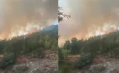 Zjarri përfshin Shkopetin, digjen dy banesa, banorët kërkojnë ndihmë urgjente