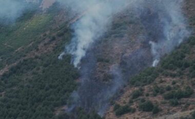 Përfshihet nga flakët masivi pyjor në Pogradec, zjarri merr përmasa të mëdha