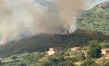 Zjarri në Dukat del jashtë kontrollit, flakët i afrohen me shpejtësi banesave
