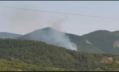 Zjarr i qëllimshëm në malin e Mavrovës, flakët depërtojnë brenda pyllit