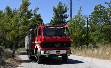 Zjarr në një pyll në Greqi, 500 metra larg kufirit me Shqipërinë, banorëve të zonave pranë iu dërgohet mesazh evakuimi