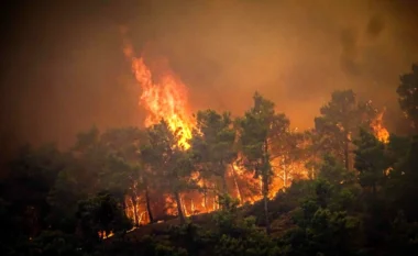 Elbasani nuk gjen qetësi/ Pas zjarrit në landfillin e mbetjeve, flakët “pushtojnë” kodrat e Karinës, përhapen deri në Peqin