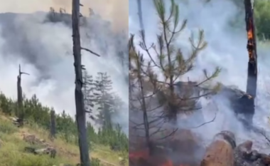Zjarr në Dukat/ Flakët po përhapen drejt majës së malit, rrezikohet Parku i Llogarasë