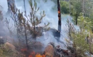 Prej disa ditësh aktiv zjarri në Parkun Kombëtar të Lurës, në rrezik stanet e bagëtive dhe kosheret e bletëve, kërkohet evakuimi i tyre