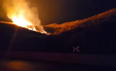 Situata me zjarrin në Delvinë/ Vihet nën kontroll vatra në fshatin Kalasë, flakët në Tatzat rrezikojnë të përhapen drejt zonave të banuara