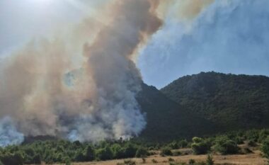 Aktivizohet një vatër zjarri në Parkun Kombëtar të Prespës, zjarrfikësit dhe banorët e zonës në luftë me flakët