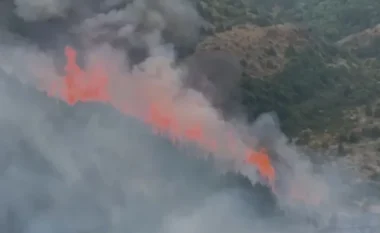 Zjarret ‘pushtojnë’ Bulqizën dhe Matin/ Zjarrfikësit nuk ndërhyjnë, shkak përmasat shumë të mëdha të flakëve