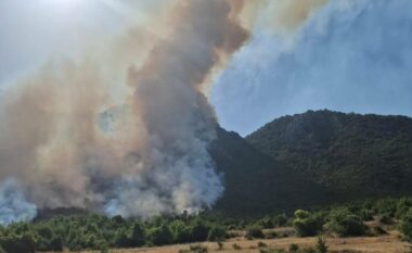 Zjarri në Parkun Kombëtar të Prespës, kryebashkiaku i Pustecit: Do ndërhyjmë nesër në mëngjes
