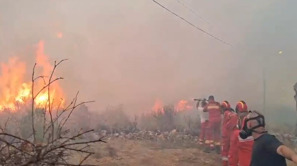 Zjarri në Borsh del jashtë kontrollit, flakët rrezikojnë banesat dhe bizneset (VIDEO)