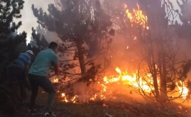 Zjarret në vend, 24 vatra në 24 orët e fundit
