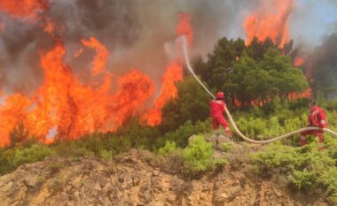 Zjarret në vend/ Ministria e Mbrojtjes: Në 24 orë u raportuan 16 vatra zjarri, 4 ende aktive