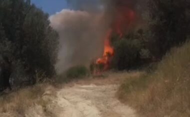 Zjarr në fshatin Malas Breg në Dimal, shkrumbohen hektarët me ullinj (VIDEO)