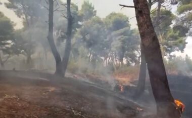 Vijon zjarri pranë lagunës së Nartës në Vlorë